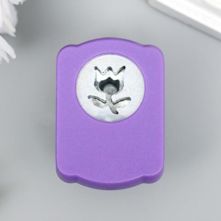 Set of curly holes in the chest, 8 pcs mix-7