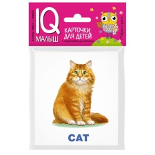 A set of cards for children 