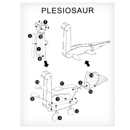 Set for creativity Sector 3d figures "Plaziosaurus"-5