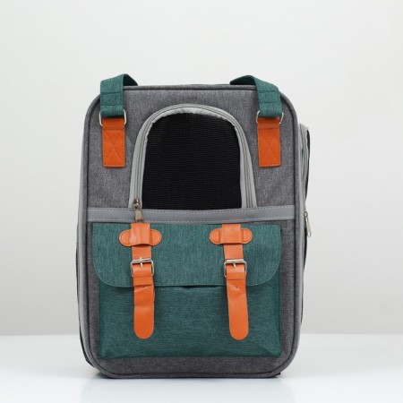 An animal carppet-carrier, 52 x 22 x 41 cm, green-1