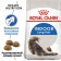 Dry food RC Indoor Long Hair for home long -haired cats, 2 kg