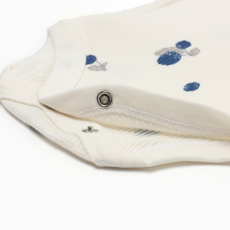 Body with DL. Sleeve crumb I am Blueberry p. 74-80, milk-3
