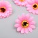 A bud on the leg for decorating "chrysanthemum-rose" d = 5 cm
