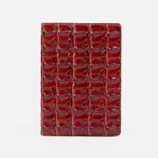 Cover for passport, red color