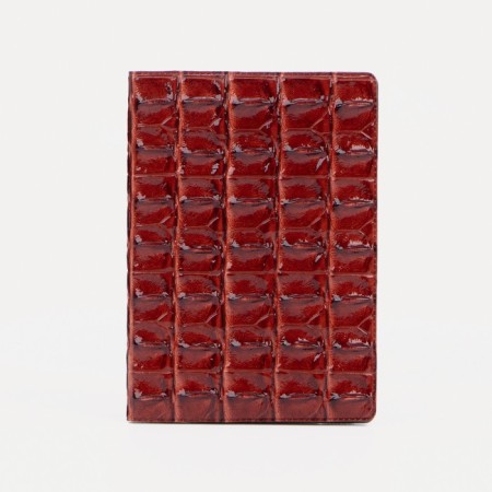 Cover for passport, red color
