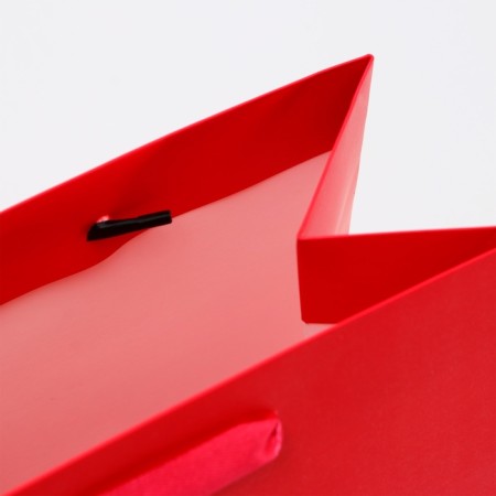 Laminated package "Fuchsia", MS 18 × 23 × 10 cm-3