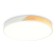 LED ceiling LED AMBRELLA LIGHT, Design, FZ1300, LED, 36 W, 2700LUM, 5000K, white color, light wood