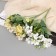 Bouquet "yarrow of ptarmika" 28 cm, mix