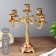 Summary Metal for 5 candles "rose on green" color gold 32x30x30 cm