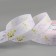 Republic tape "Autumn leaves", 25 mm, 23 ± 1 m, white color