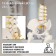 Lumbar spine "Lumbar spine, hip joint" 23*12*12cm