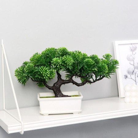 Bonsai "Star" 16x22 cm, mix-9