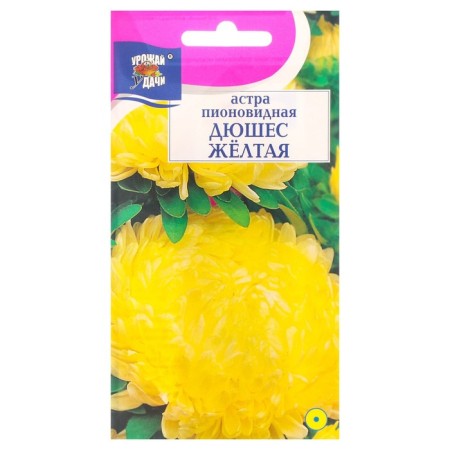 Seeds of flowers Astra Pionovid "Duches", yellow, 0.3 g