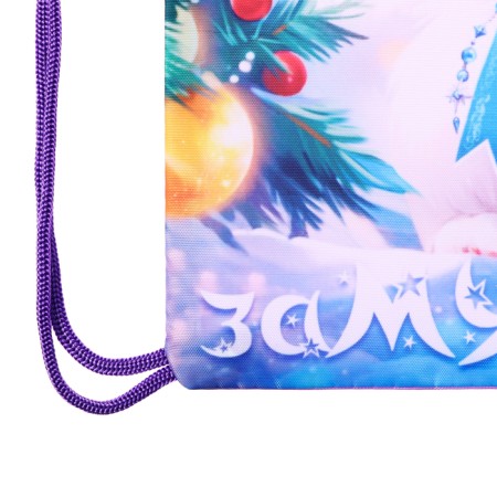 New Year. Bag under the sweets of 290 x 340 mm "cat-princes" (soft polyester density 210d)-4