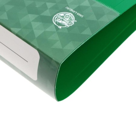 Folder on 2 rings A4, Calligrata, 40 mm, 700 μm, pocket at the end, green-3