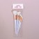 Set of brushes "Unicorn", 5 objects, white color