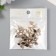 Buttons plastic for creativity on the leg "butterfly" set of 15 pcs mix 1.6x1.4 cm