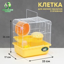 The cage for rodents 
