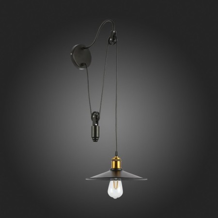Wall lamp EVOLUCE. Sle120501-01. ESPERAZZA. 1x60 W, E27, 26x50 cm, black color-10