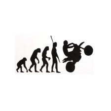 Sticker on Auto Evolution, 19 × 9 cm