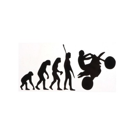 Sticker on Auto Evolution, 19 × 9 cm