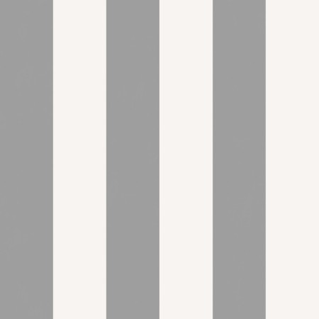 Paper Paper "Gomel mobility" Texas Companion 22, 0.53x10.05m