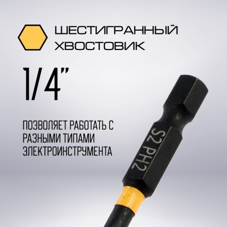 Биты ТУНДРА ПРОФИ, Torsion, сталь S2, PH2 х 50 мм, пвх-чехол, 2 шт.-3