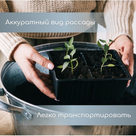 Cassette for seedlings, 6 cells of 120 ml, set of 5 pcs., Black-5