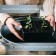 Cassette for seedlings, 6 cells of 120 ml, set of 5 pcs., Black