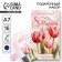 Gift set: notebook, handle-filter and eraser "Pink tulips"