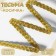 Decorative braid "Kosichka", 8 mm, 10 ± 1 m, gold color