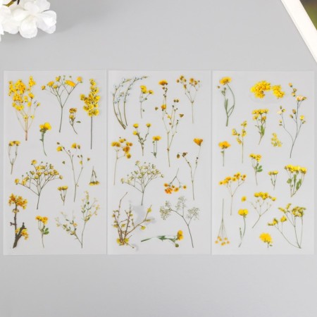 Plastic stickers "Mimosa" set 6x18 cm-1