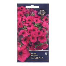 Flowers of Petunia 