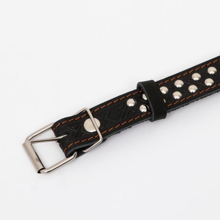 The collar is a single-layer leather, the rimmer, 60 x 3 cm, Osh 45-57 cm, black-3