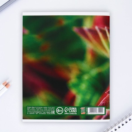 An objective note 48 sheets, A5, nature, with reference materials “September 1: Geometry”, cover coated cardboard 230 gr., Inner block in a cage 80 gr., Whiteness up to 80%, block No. 2.-5