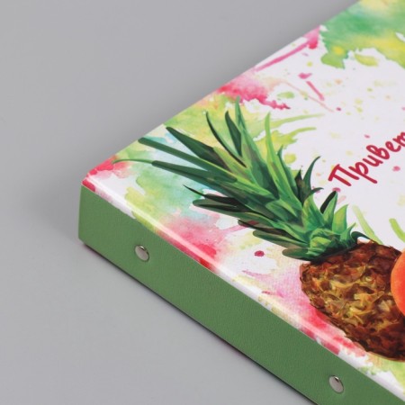 Photo album 25 sheets (stickers+rings) "Fruits. Hello, summer!" 19x27x3 cm-12