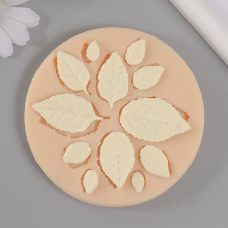 Mold Silicon "Leaves" 0.7x1 cm -2.3x3.6 cm mix