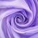 Curtain-tulle for the kitchen Witerra 140x180 cm, color lilac, veil, n/e100%