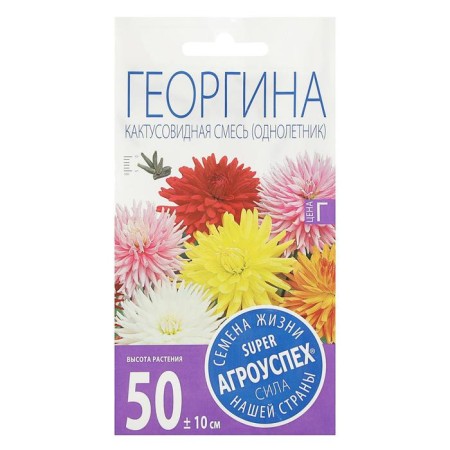 Georgin flowers are a cacti -shaped mixture, o, 0.2 g-2