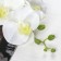 Artificial flowers "Graceful orchid" 10x100 cm, white