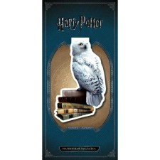 Figure magnetic laying. Book