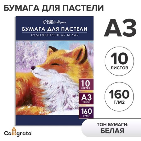 A3, 10 sheets "Fox", block 160g/m2, in the folder