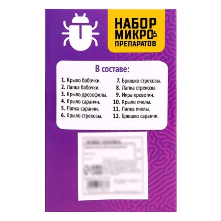 Set for experiments "Set of micropreparations", insects-10