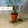 Plant transplant rug, flexible glass, 80 × 100 cm, Greengo