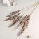 Dry Sukhotzet "reed" 80 cm, beige (packing 5pcs, price per 1 pc)