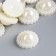 Decor for creativity "Pearl chamomile" Diam 1.8 cm weight 20 grams