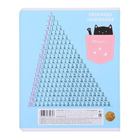 Notebook 12 sheets, in a cage, a “cat in a pocket”, a covered cardboard, an offset block, mix-2