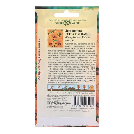 Dimorphothek seeds "Tetra Goliath", 0.1 g-1