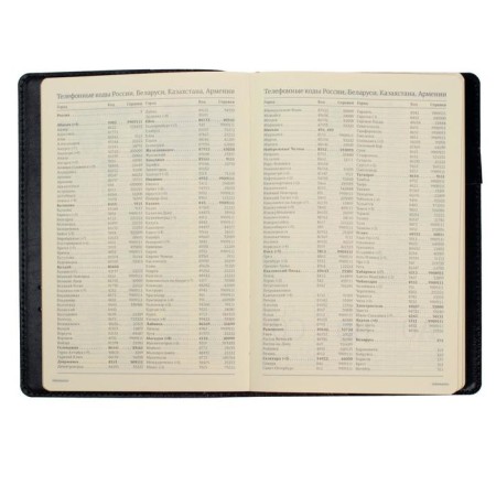 Diary Semi -dated A5, 208 PROFY sheets, reclaid leather, replaced block, gold cut, black-7