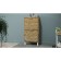 Higs shoe cabinet, 500 × 230 × 942 mm, color of oak vanan / white